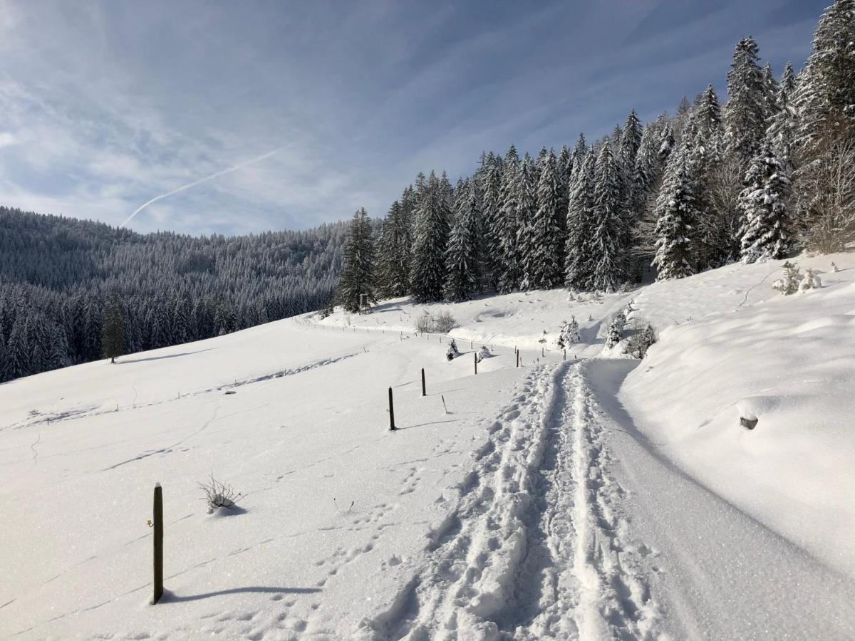 Naturparkhotel Schwarzwaldhaus Bernau im Schwarzwald Esterno foto
