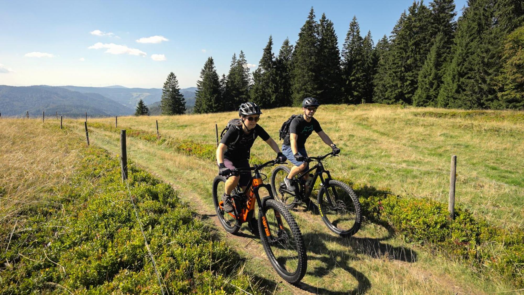Naturparkhotel Schwarzwaldhaus Bernau im Schwarzwald Esterno foto